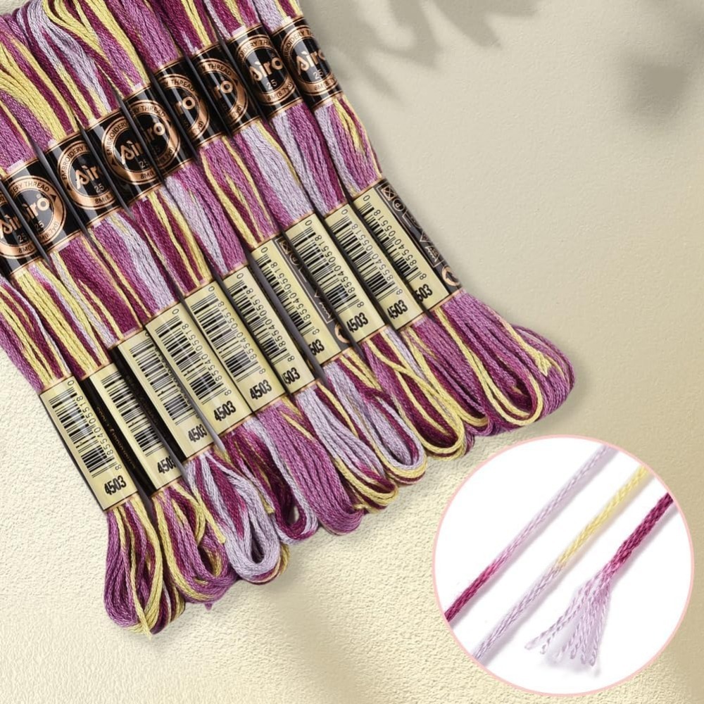 6 Strands Purple Variegated Em - Embroidery Floss Thread recension och pris